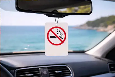Hygiene standards at Motoland vehicles in Leros